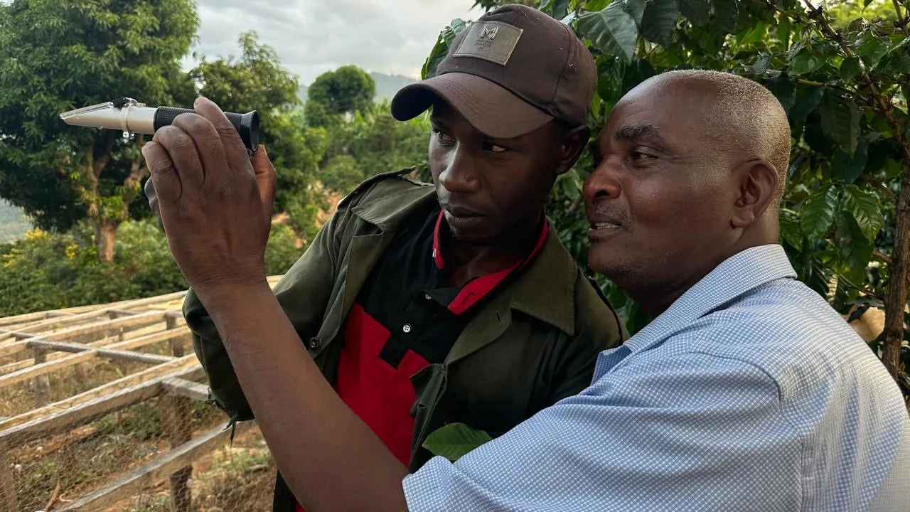 Mumu Estate, Meru County