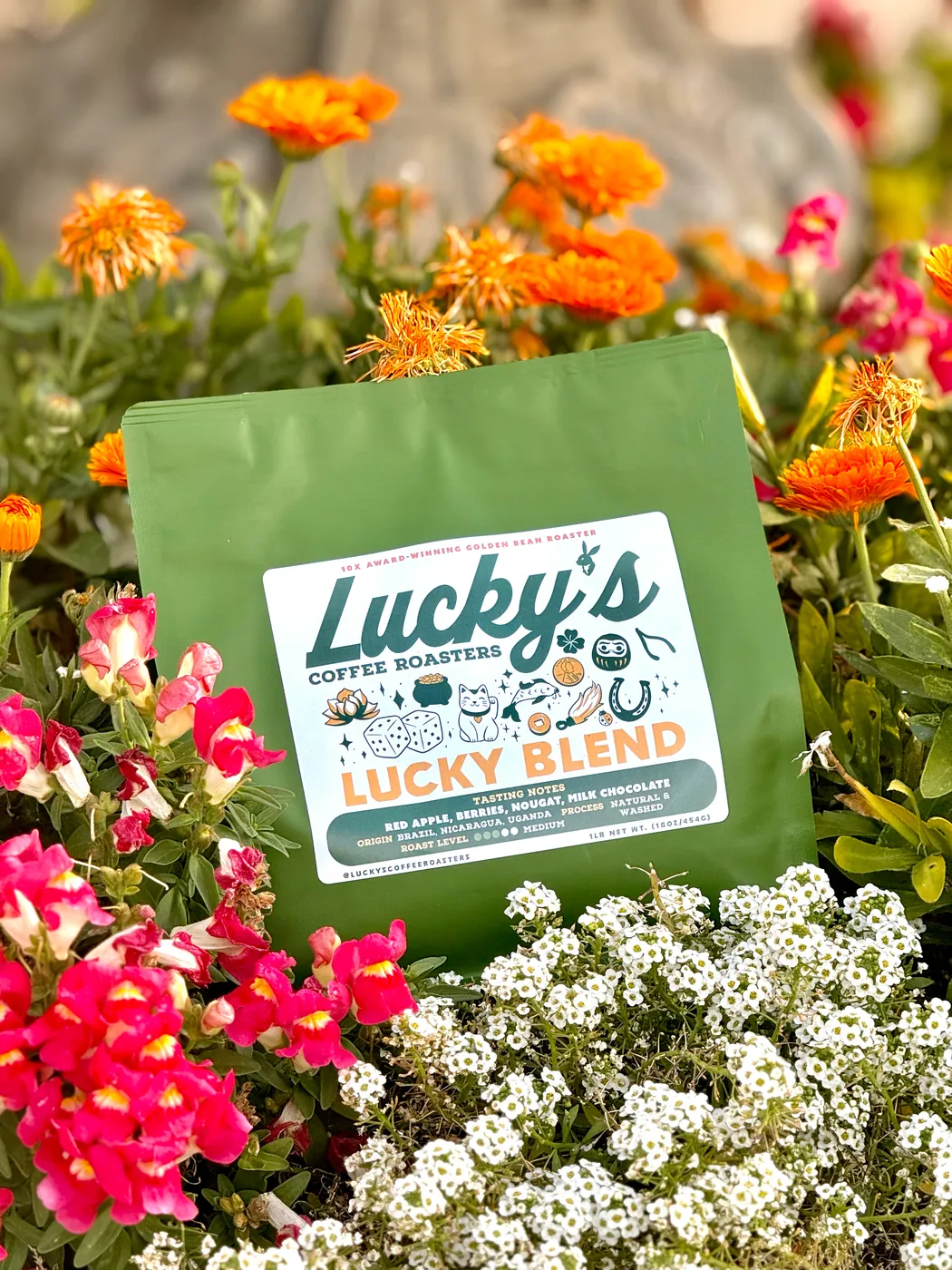 Lucky Blend, out in the flowers